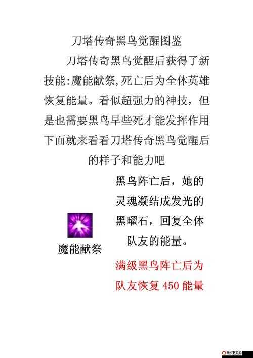 刀塔传奇深度攻略，揭秘英雄黑鸟的完美洗练技巧与策略